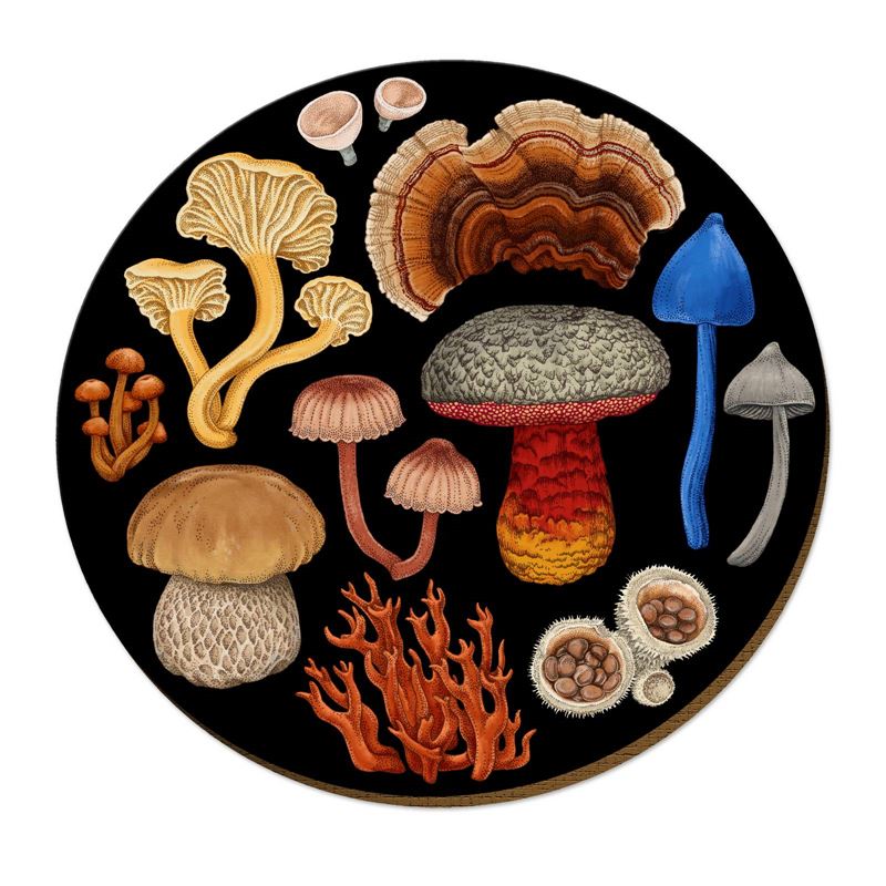 Tanya Wolfkamp Placemats - Fungi