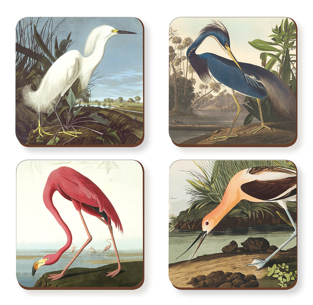 Audubon Waterbirds - Coasters