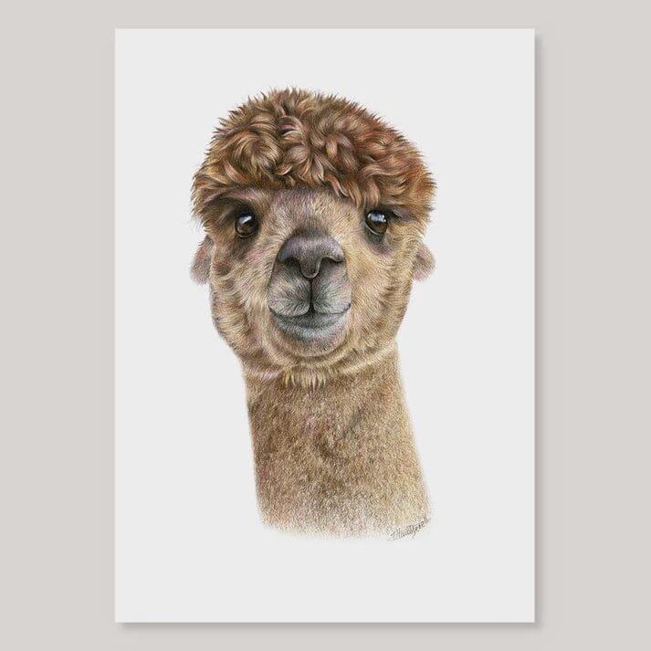 Alpaca -- A4 Print Art - other Olivia Bezett 