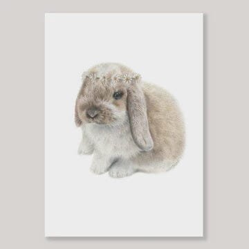 Daisy Bunny - A4 Print Art - other Olivia Bezett 