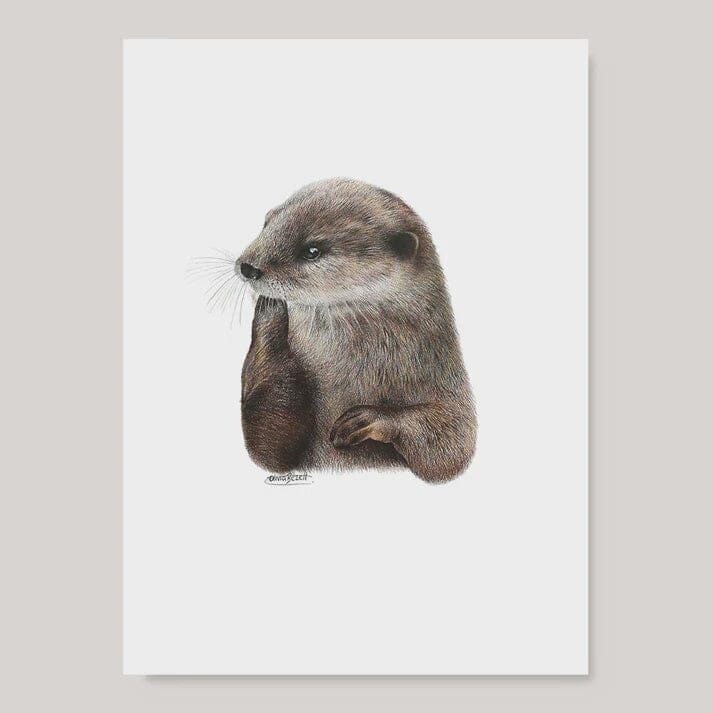 Otter - A4 Print Art - other Olivia Bezett 