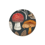 Tanya Wolfkamp Coasters - Fungi Tableware Tanya Wolfkamp Morchella 