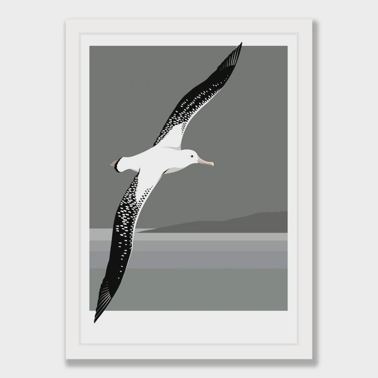 Antipodean Albatross Print A4