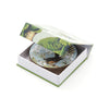 Birds And Botanicals of NZ - Box of 6 Coasters