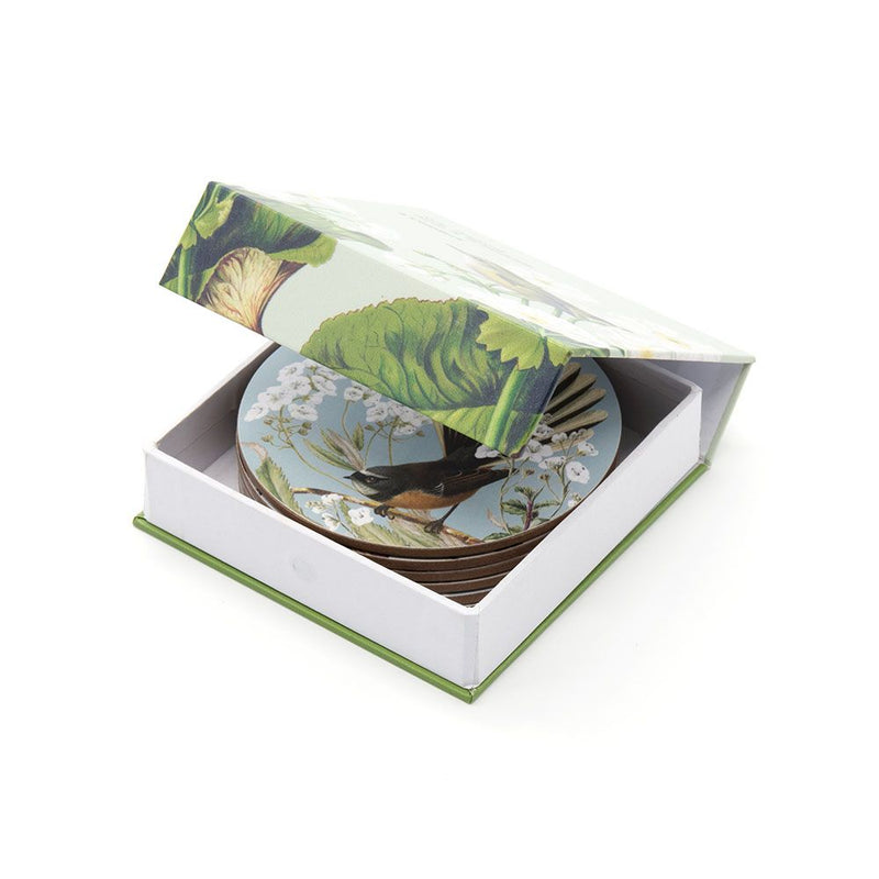 Birds And Botanicals of NZ - Box of 6 Coasters