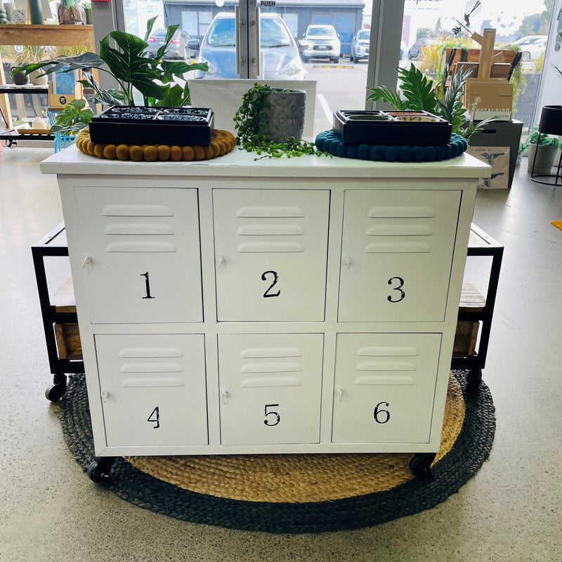 Industrial 6 Door Locker Cabinet