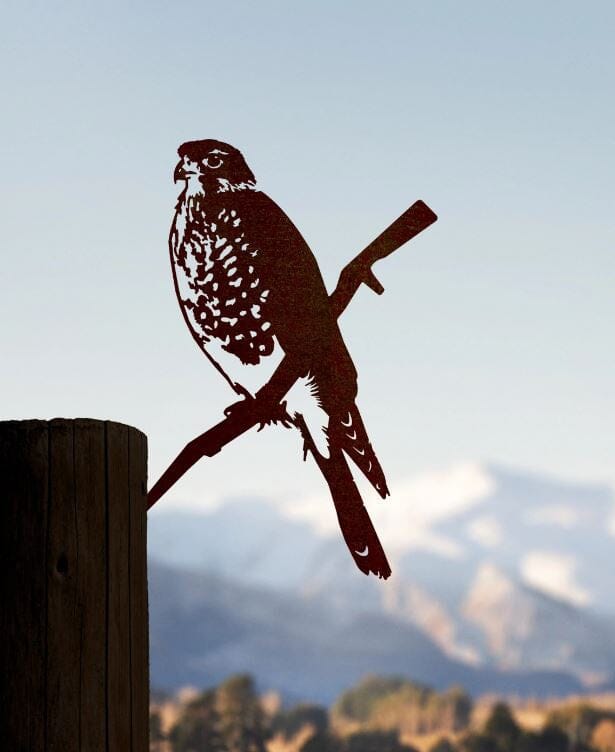 Metalbird - Falcon