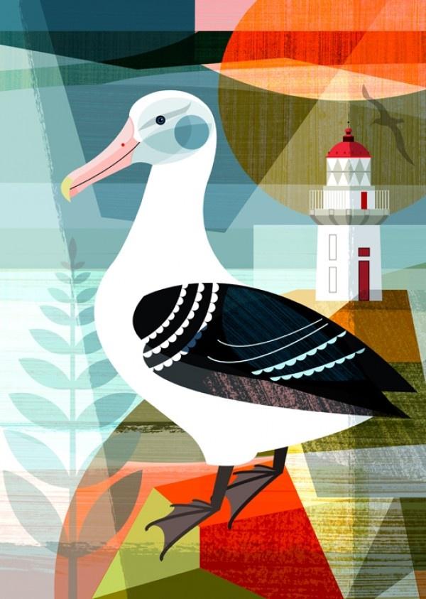 NZ Royal Albatross - Ellen Giggenbach