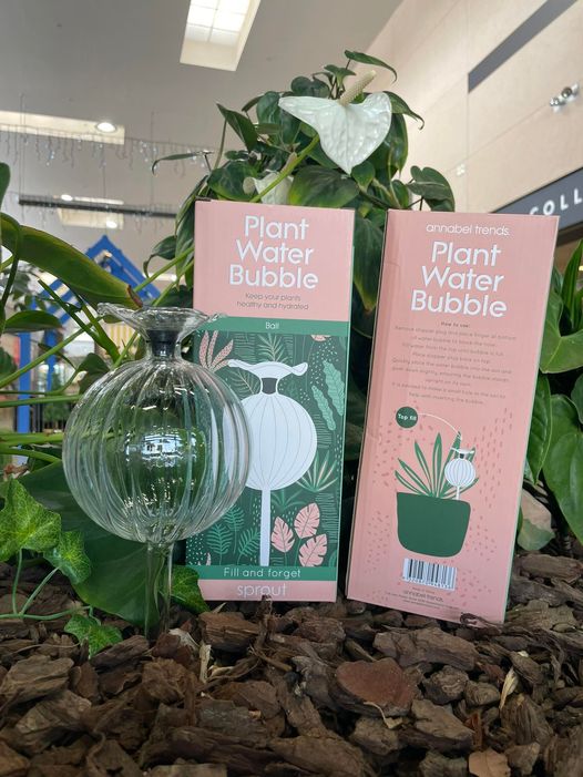 Plant Water Bubble