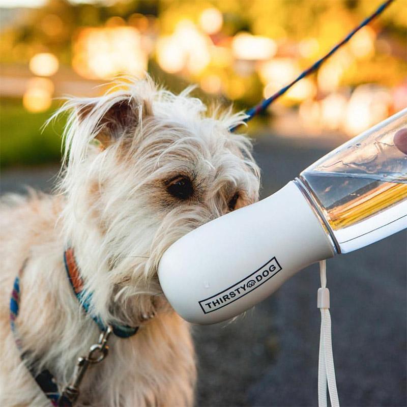 Thirsty pup water deals bottle