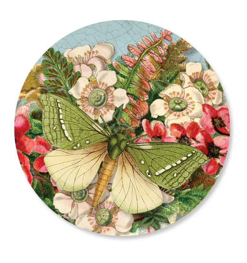 Puriri Moth Mirror - Tanya Wolfkamp