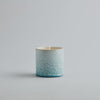 Sea & Shore Candle - Wild Gorse (SALE)