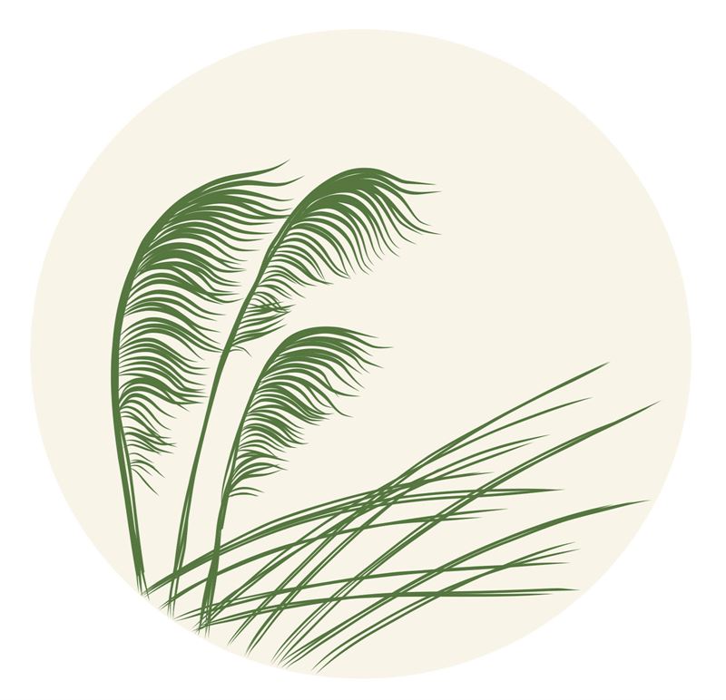 Jo Luping Coasters - Toetoe