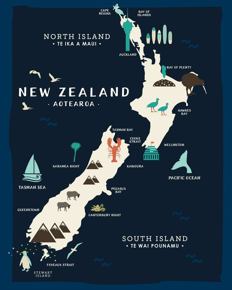 Map of NZ Lens Cloth - Toodles Noodles