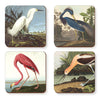 Audubon Waterbirds - Coasters