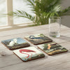 Audubon Waterbirds - Coasters