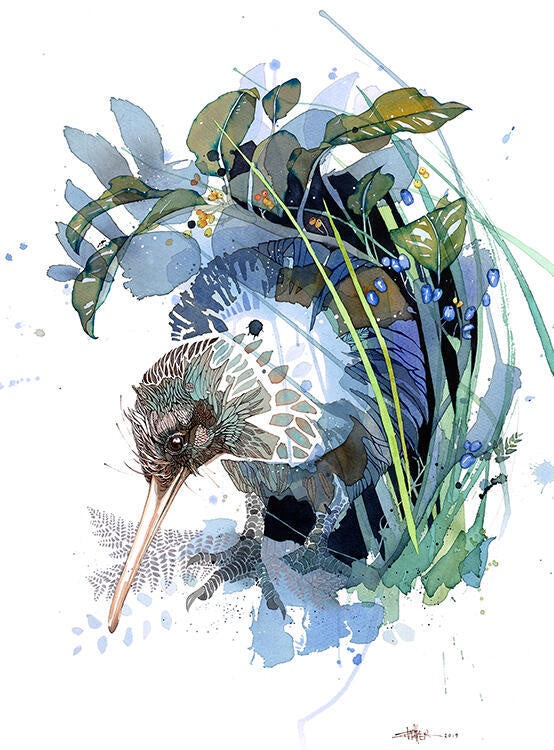 Evening Kiwi - Rachel Walker