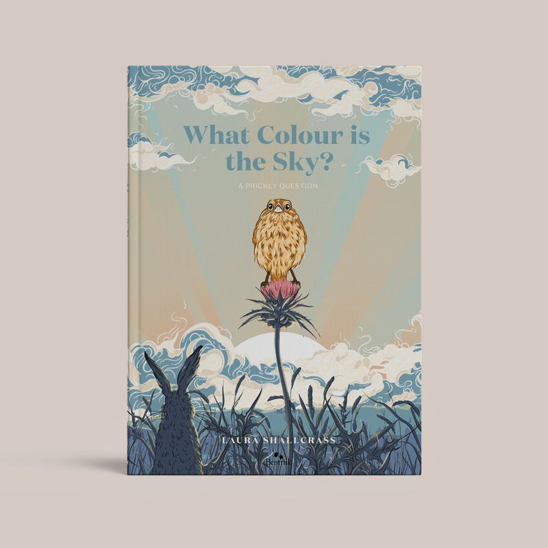 What Colour is The Sky?