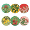 NZ Native Botanicals - Box of 6 Coasters