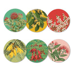 NZ Native Botanicals - Box of 6 Coasters