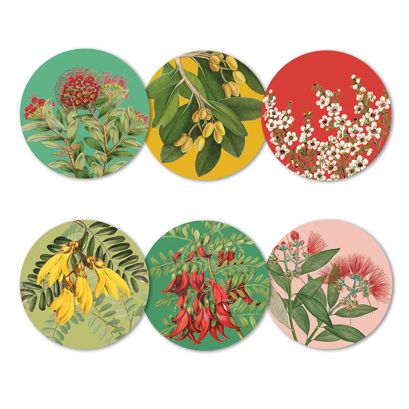 NZ Native Botanicals - Box of 6 Coasters
