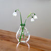 Handblown Glass Bud Vases