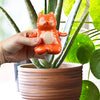 Self Watering Yoga Cat - Water Dispenser