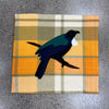 Blanket Cushion - Tui
