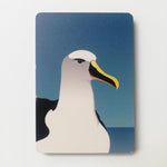 NZ Bird Wooden Magnets - Hansby