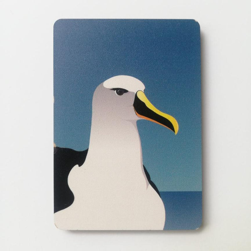 NZ Bird Wooden Magnets - Hansby