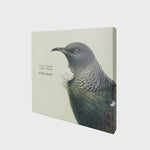 New Zealand Native Birds - Box of 6 Placemats