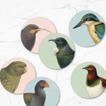New Zealand Native Birds - Box of 6 Placemats