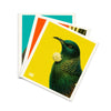Swedish Dishcloths -  (Pack of 3)