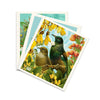Swedish Dishcloths -  (Pack of 3)