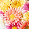 Single Mini Gerbera Stem