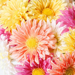 Single Mini Gerbera Stem