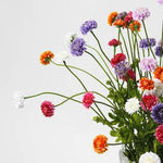 Pompom Flower Stem