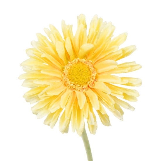 Single Mini Gerbera Stem