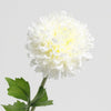 Zinnia Spray Flower Stem