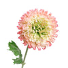 Zinnia Spray Flower Stem