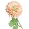 Zinnia Spray Flower Stem