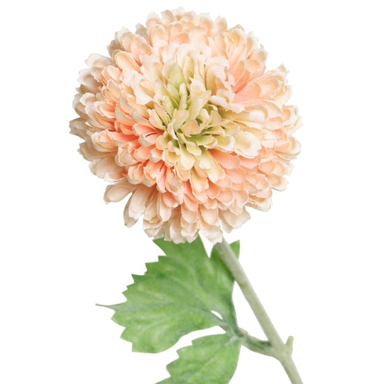 Zinnia Spray Flower Stem