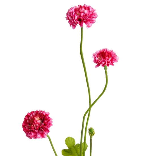 Pompom Flower Stem