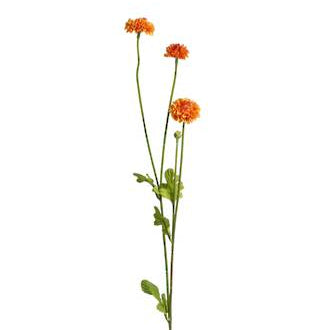Pompom Flower Stem