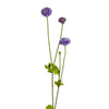 Pompom Flower Stem