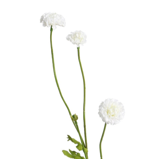 Pompom Flower Stem