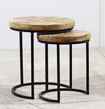 Asher Nesting Coffee Tables - set of 2