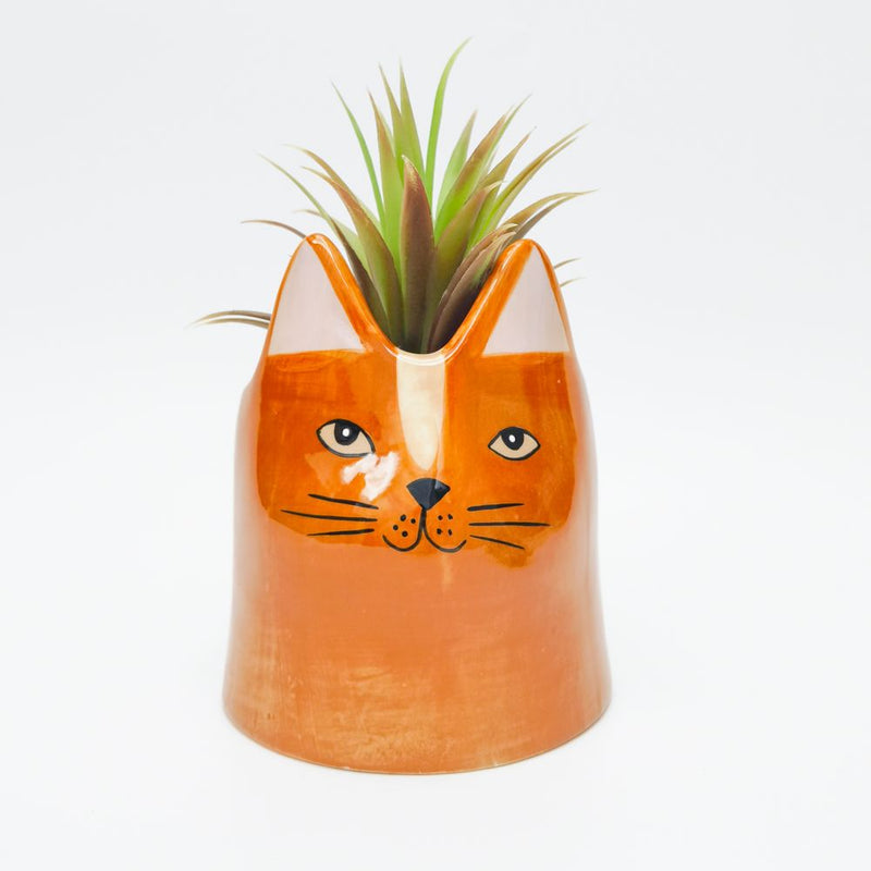 Bailey Cat Planter Ginger
