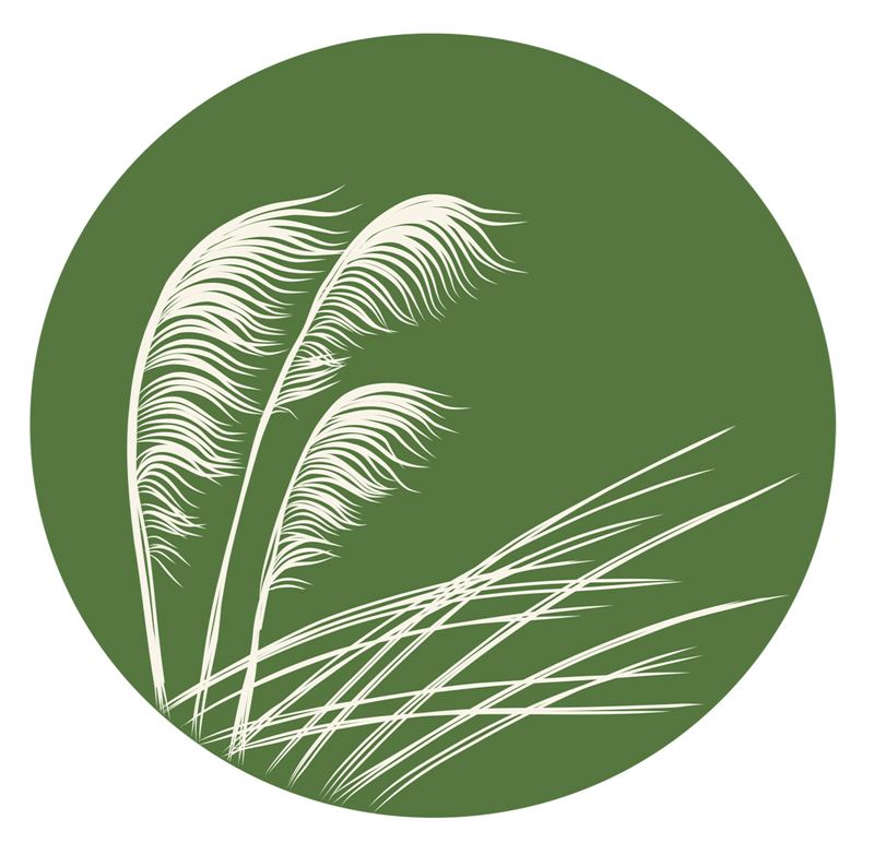 Jo Luping Coasters - Toetoe
