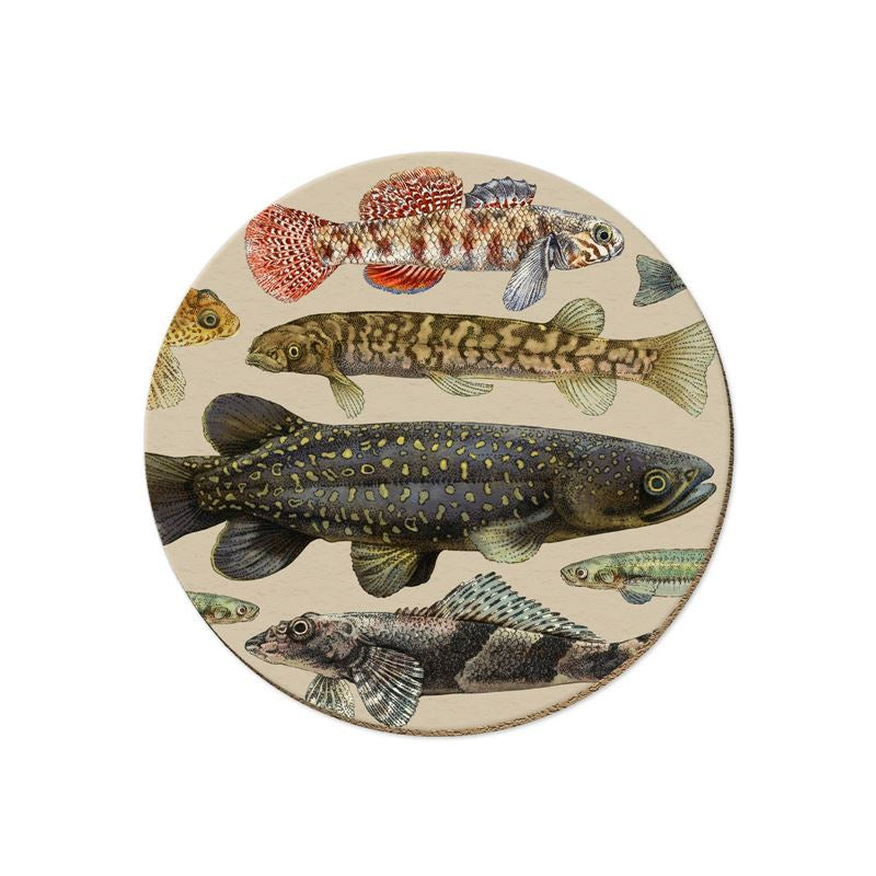 Tanya Wolfkamp Coasters - NZ Freshwater Fish